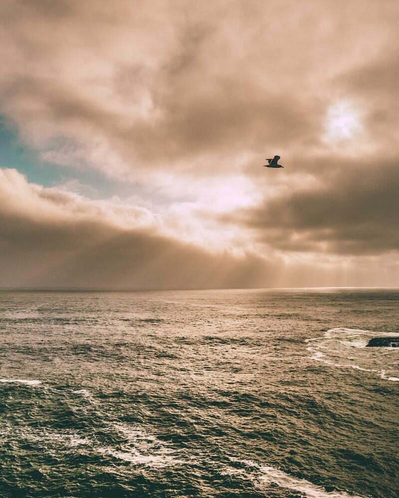 Halkidiki, 7 nopți cu autocarul, mic dejun inclus
