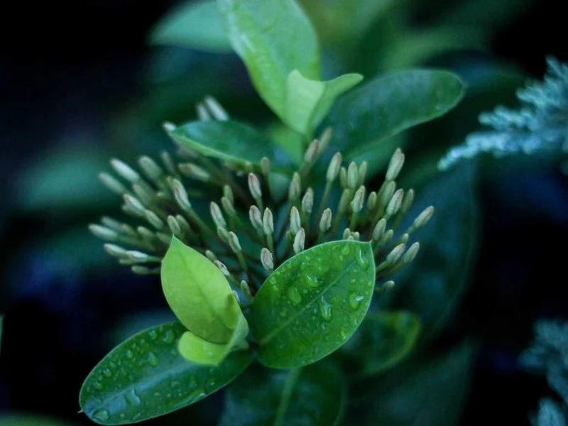 Sharm El Sheikh, 7 nopți lângă recif, all inclusive, cu aqua park pentru copii